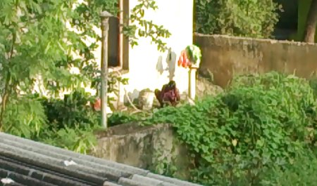 Seksi xxx indo big Kolombia Rambut Panjang Rambut